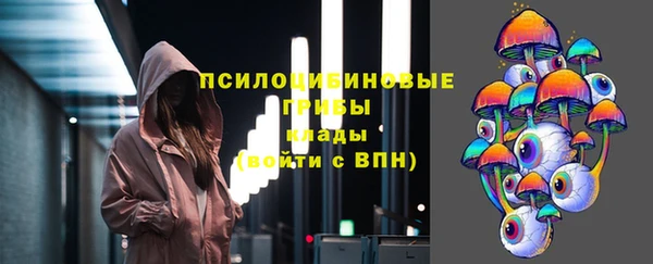 скорость Новозыбков