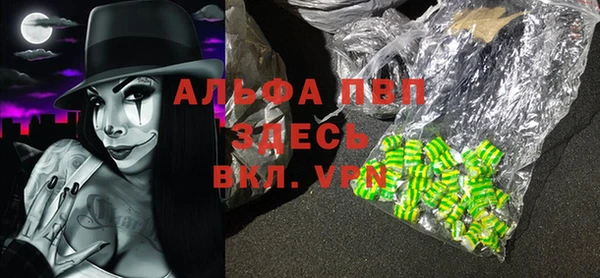 ешки Новодвинск