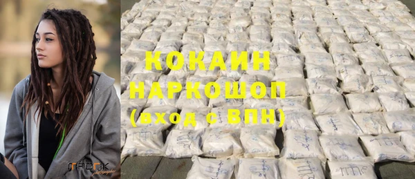 ешки Новодвинск