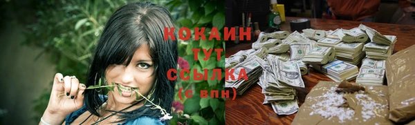 скорость Новозыбков