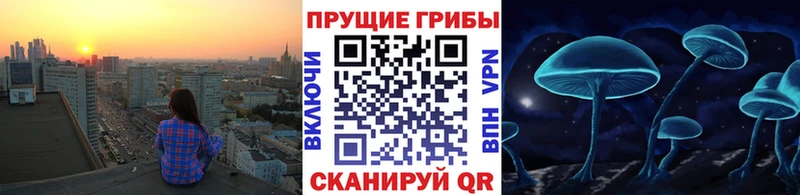Псилоцибиновые грибы Cubensis  Арск 